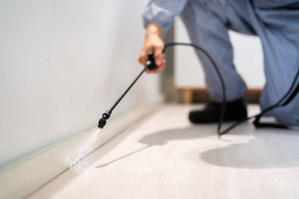 Bed Bug Pre-Treatment Preparation Assessment in Lubbock
