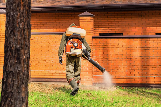 Bed Bug Clearance Verification and Documentation in Lubbock
